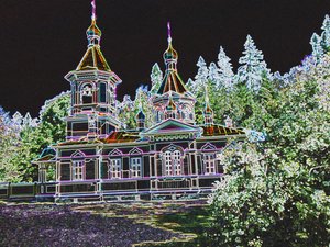 forêt magique